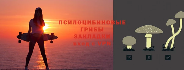 а пвп мука Новозыбков