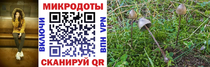 мориарти состав Палласовка Галлюциногенные грибы GOLDEN TEACHER